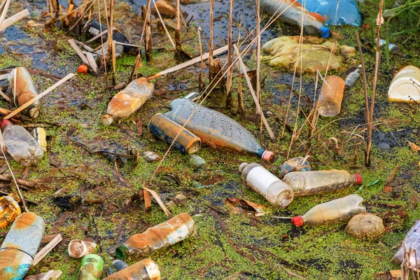 Inquinamento Delle Acque Fluviali Come Danni Ambientali Bottiglie Plastica Che — Foto Stock
