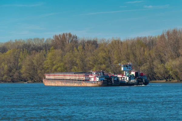 Контейнерне Судно Вантажного Транспорту Річці Дунай Вибіркове Фокусування — стокове фото