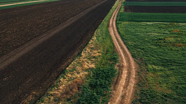 Сельская Грунтовая Дорога Между Обрабатываемыми Полями Уменьшающейся Перспективой Высоким Углом — стоковое фото