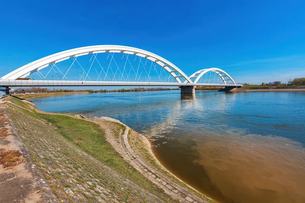 Загрязнение Воды Дуная Нови Саде Прямое Выпадение Сточных Вод Реку — стоковое фото
