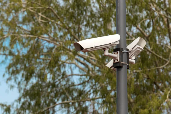 Videocamere Sicurezza Montate Palo Nel Parco Pubblico Messa Fuoco Selettiva — Foto Stock