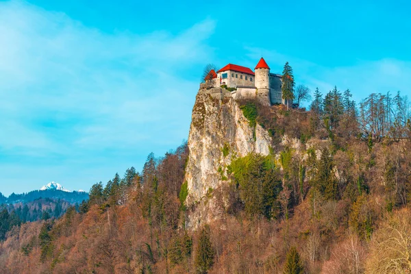 슬로베니아에서 성이며 1004 년으로거슬러 올라가는 랜드마크중 — 스톡 사진