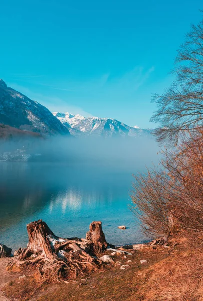 Starý Pařez Břehu Jezera Bohinj Chladné Zimě Únor Ráno Mlhou — Stock fotografie