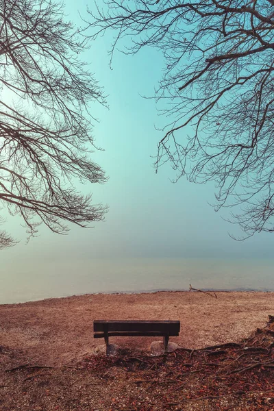 Serenity Bohinj Lake Foggy Morning Empty Wooden Bench Shoreline — Stock Photo, Image