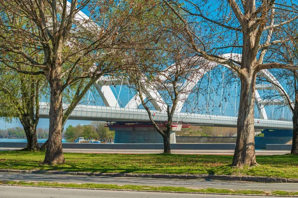 Novi Sad Rıhtımı Tuna Nehrinin Kıyısında Zezelj Köprüsü Ile Güneşli — Stok fotoğraf