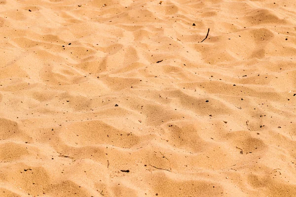 Dirty Beach Sand Surface Summer Season Background Selective Focus — Stock Photo, Image