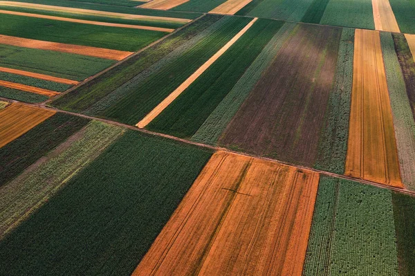 Abstraktní Zemědělské Zázemí Krásné Barevné Patchwork Vzor Obdělávaných Polí Drone — Stock fotografie