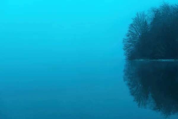 Winter Foggy Morning Bohinj Lake Waterfront Minimalist Composition Trees Bushes — Stock Photo, Image