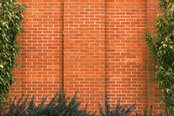 Bujne Liście Rosnące Wokół Ściany Cegły Pomarańczowej Jako Przestrzeń Kopiowania — Zdjęcie stockowe