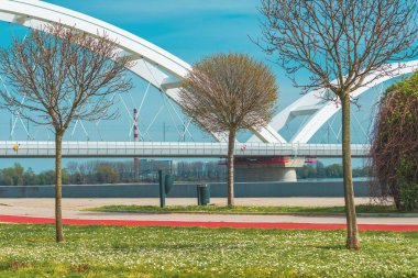 Novi Sad rıhtımı Tuna nehrinin kıyısında, Zezelj köprüsü ile güneşli bahar gününde ağaç tepelerinin arkasında, seçici bir odak noktası var.