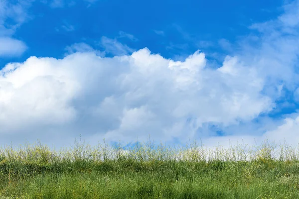 春に緑豊かな田園地帯の牧草地に白い雲が立ち並ぶ美しい空を背景に — ストック写真