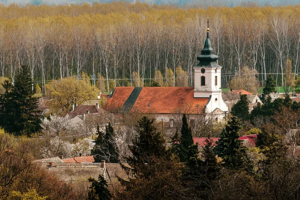 セルビア ヴォイヴォディナのペトロヴァラディンにおける聖十字架の高揚のカトリック教会 — ストック写真