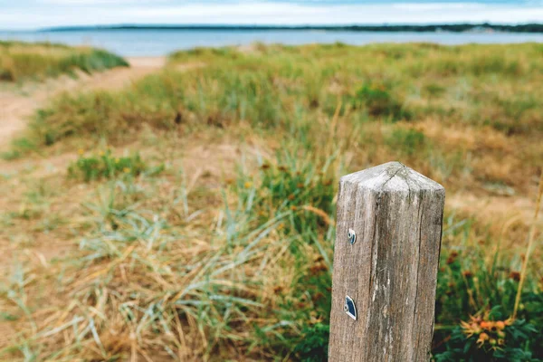 瑞典哈姆斯塔德的西海岸的旧木柱有选择的重点 — 图库照片
