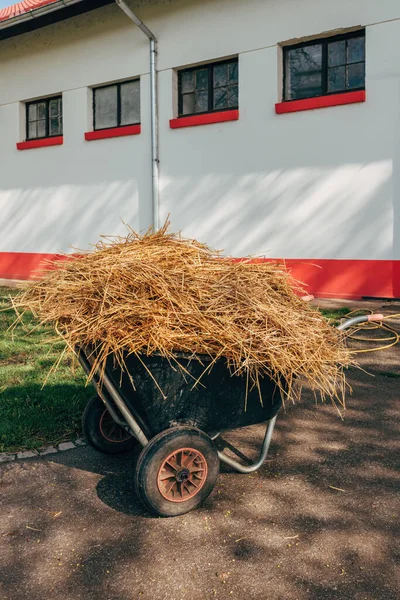 Wheelbarrow loaded with stable hay in front of equestrian ranch building, selective focus