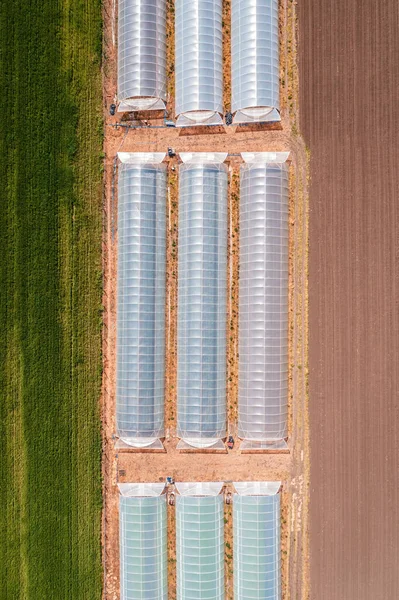 Captura Aérea Invernadero Agrícola Con Láminas Plástico Campo Cultivado Desde —  Fotos de Stock