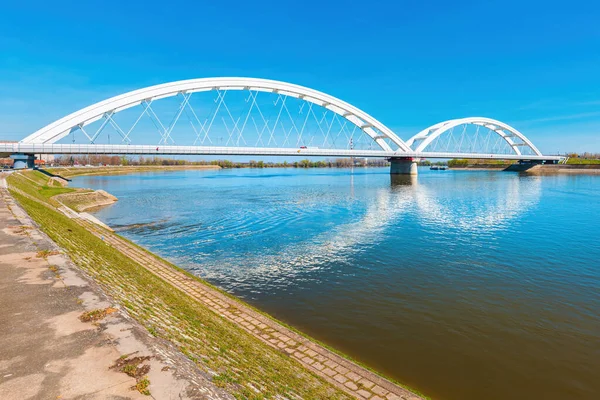 Zezelj橋 ノヴィ ヴォイヴォディナ セルビアのドナウ川のタイアーチ橋 この建物は2018年にオープンしました — ストック写真
