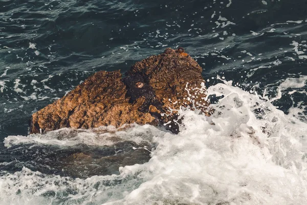 Oceaangolven Remmen Rotsen Langs Kust Bedekken Met Wit Zeeschuim Zonnige — Stockfoto