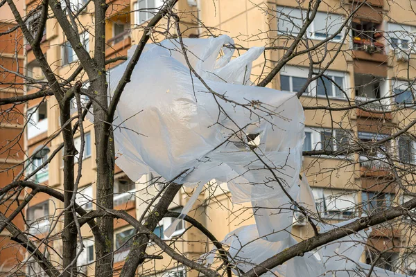 Material Plástico Envoltório Copa Árvore Rua Com Prédio Apartamentos Segundo — Fotografia de Stock