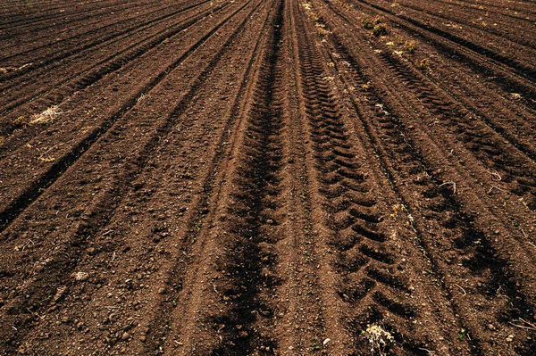 Traktorreifen Spuren Gepflügtem Ackerboden Abnehmender Perspektive — Stockfoto