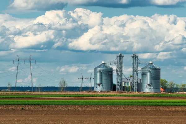 耕作地に囲まれた穀倉貯蔵タンク 農地に穀物サイロ農業ビル 選択的焦点 — ストック写真
