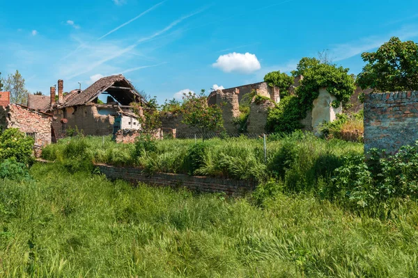 Oude Verwoeste Huizen Met Achtertuin Gras Selectieve Focus — Stockfoto