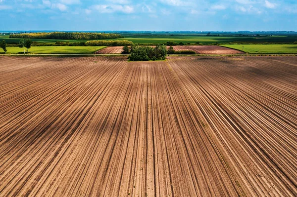 Aerial Shot Cultivated Agricultural Field Drone Pov High Angle View — Stock Photo, Image