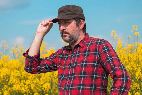 菜の花畑に自信のある農家の肖像画 プランテーションでは赤いシャツと茶色のトラック運転手の帽子をかぶった農場労働者 選択的焦点 — ストック写真