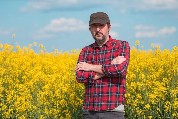 菜の花畑に咲く自信のある農家の肖像画 プランテーションでは赤いシャツと茶色のトラック運転手の帽子をかぶった農場労働者 選択的焦点 — ストック写真