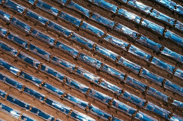 Karpuz Plantasyonunun Yukarıdan Aşağıya Plastik Sera Malzemesi Insansız Hava Aracı — Stok fotoğraf