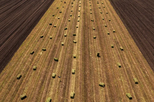 収穫後のフィールドでAlfalfa正方形の干し草の山の斜面 空中ショット高角度ビュー — ストック写真