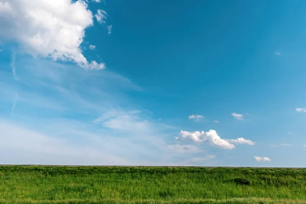 以茂密的青草为背景的绿茵草地上的天空 — 图库照片