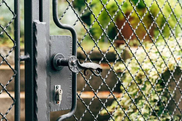 Punho Porta Portão Ferro Forjado Como Entrada Para Jardim Frente — Fotografia de Stock