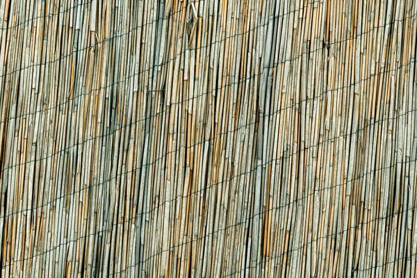 干芦苇围栏材料为背景 — 图库照片