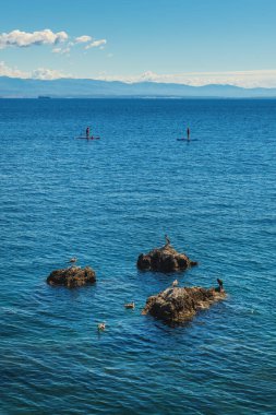 Hırvatistan 'daki Adriyatik körfezi Kvarner körfezi, kayalıklarda dinlenen martılar ve karabataklar insanlar arka planda kürek çekerken
