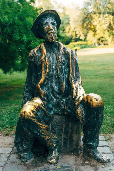 ノヴィ セルビア 2023年7月8日 ダナヴスキ公園 ダナブー公園 のジューラ ジャクシクの像 有名なセルビアの詩人のこの記念碑は ジョヴァン ソルダトヴィッチによって作られています — ストック写真