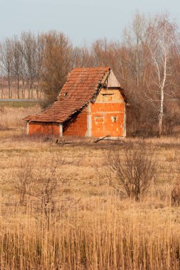 Old abandoned house in meadow on sunny autumn day