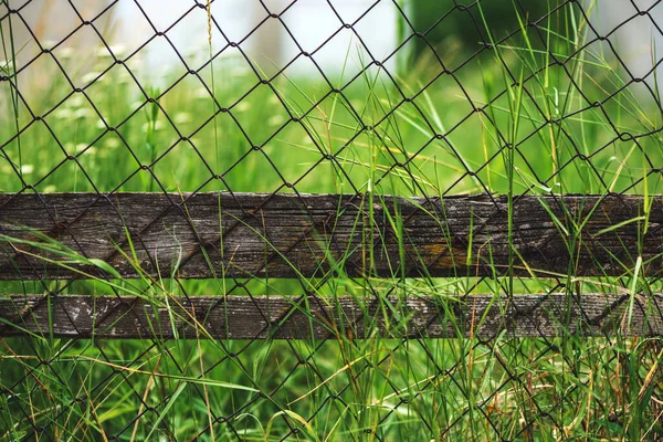 旧锈迹斑斑的链环篱笆和绿草 有选择的焦点 — 图库照片