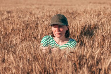 Olgun buğday ekinlerini hasat öncesi inceleyen dişi çiftçi, seçici odaklanma