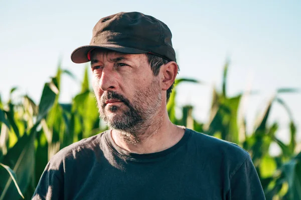 Headshot Portrait Male Farm Worker Cultivated Corn Crop Field Selective — Stock Photo, Image