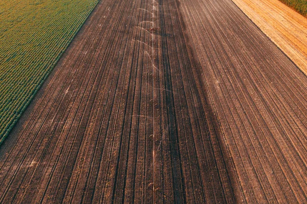 Radbewässerung Landwirtschaftliche Sprinkler Bestellten Feld Luftaufnahme Von Drohne Pov Blick — Stockfoto