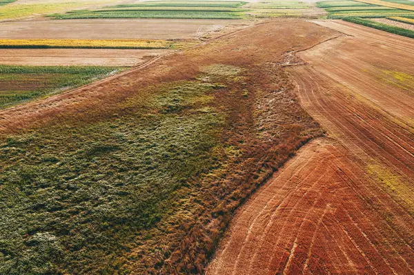 Flygfoto Ängsmark Sommaren Från Drönarpov Vidsträckt Obrukad Gräsmark Och Odlade — Stockfoto