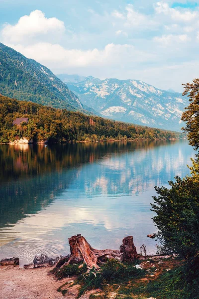 Jezero Bohinj Obklopeno Pohořím Julian Alps Národním Parku Triglav Slovinsku — Stock fotografie