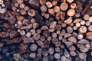 Arka planda ve doğal şablon olarak yakacak odun yığını var.