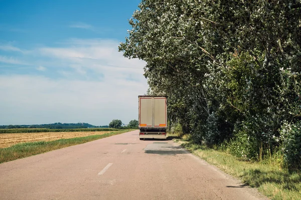 Taşımacılık ve kargo taşımacılığı, yazın kırsal alanda yol boyunca giden büyük yarı kamyonun dikiz görüntüsü, perspektif azalması