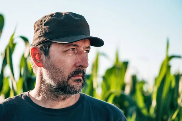 Contemplative Farmer Corn Field Farm Worker Wearing Trucker Hat Posing — Stock Photo, Image