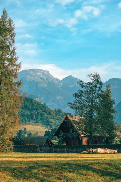 Beau Paysage Alpin Avec Maison Montagne Grands Arbres Matin Été — Photo