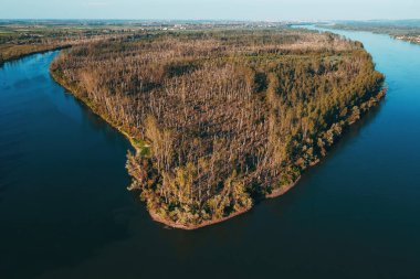 Yazın süperhücre fırtınasından sonra yıkılan orman manzarasının hava görüntüsü, yukarıdan gelen çevresel hasarın insansız hava aracı görüntüsü.