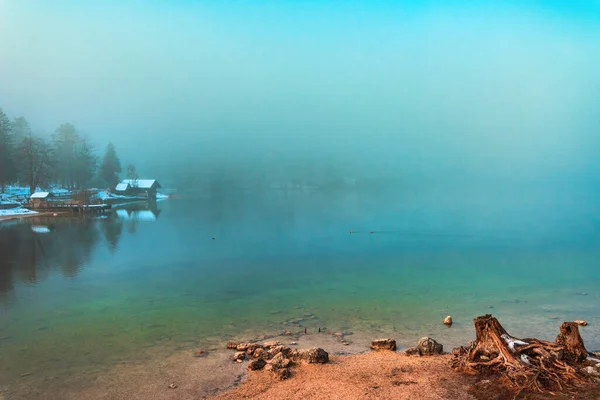 Beautiful Scenic Landscape Lake Bohinj Foggy Winter Morning Old Tree — Stock Photo, Image
