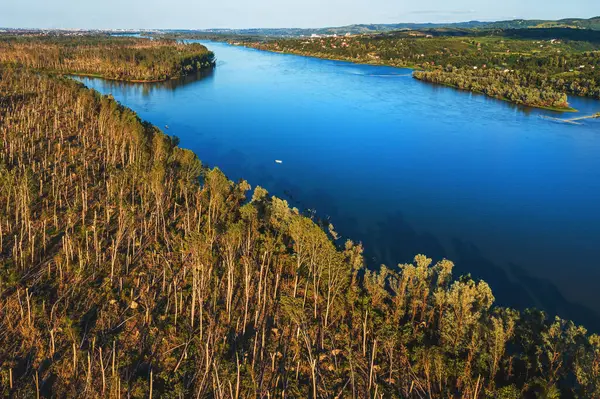 Environmental Damage Drone Pov Aerial Shot Deciduous Forest Landscape Devastated — Stock Photo, Image