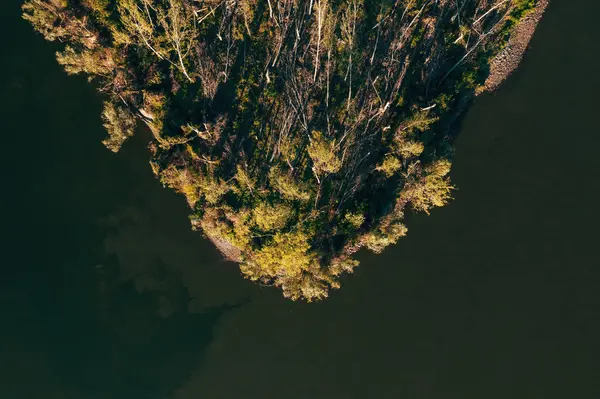 Aerial Shot Devastated Forest Landscape Supercell Storm Summer Drone Pov — Stock Photo, Image